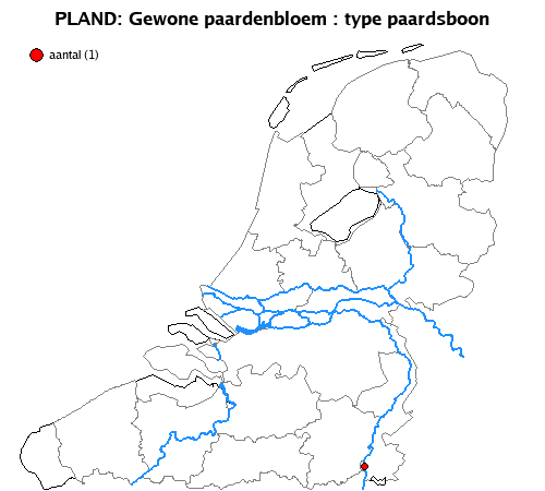 paardsboon